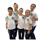 Camiseta del club